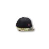 hawaii snapback cap